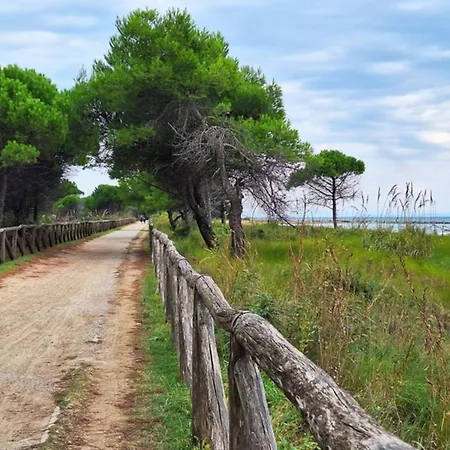 Sun, And Comfort-beahost *